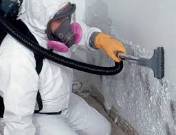 Best Mold Prevention Services  in Spring Park, MN